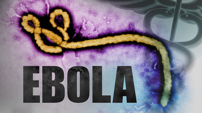 Read more about the article Aantal nieuwe ebolagevallen daalt