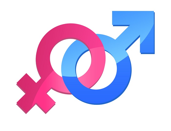 Read more about the article Gendergelijkheid verbeterd op politiek gebied