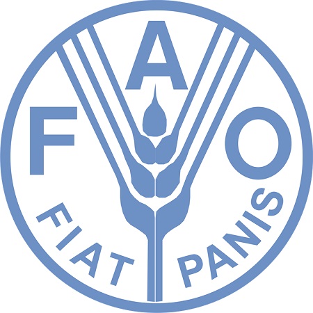 Read more about the article FAO registreert hoge mate van vet- en suikerconsumptie