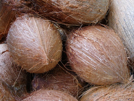 Read more about the article Suriname moet meer focussen op kokosolie