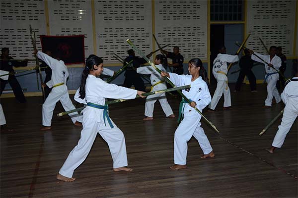 Read more about the article Vechtkunstenaars op eerste Wushu-clinic