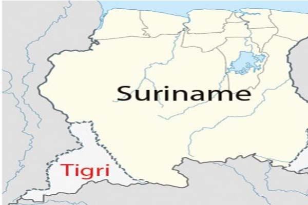Read more about the article ‘Tigri-gebied mag niet geruild worden voor brug’