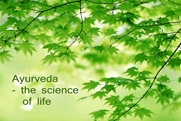Read more about the article Ayurveda, nimmer verouderd