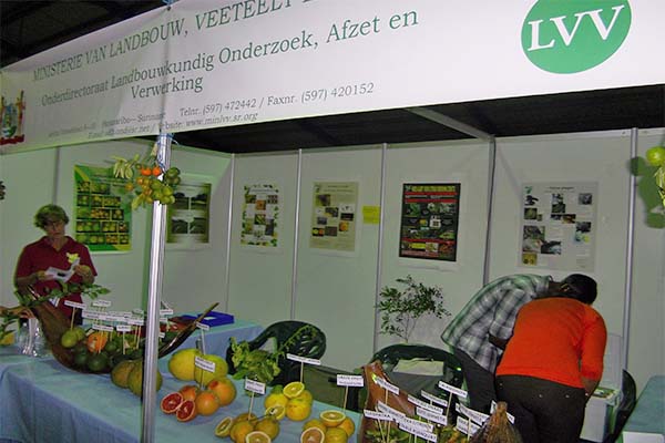Read more about the article LVV gaat voor restrictiever beleid pesticiden
