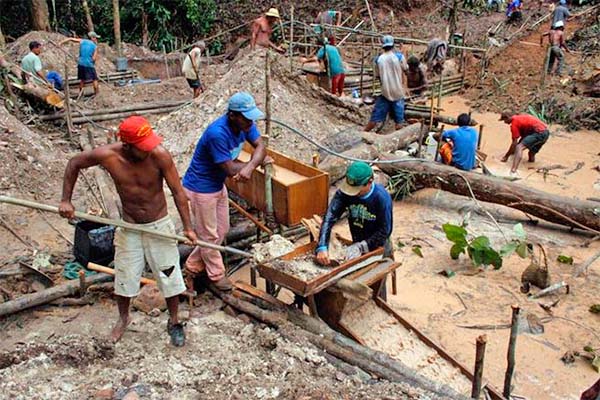 Read more about the article Brazilië constateert illegale goudwinning door Colombiaanse ex-guerrillastrijders