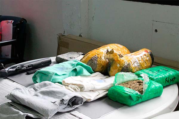 Read more about the article Politie onderschept 53.5 kg cocaïne en 16.9 kg marihuana in 3 weken