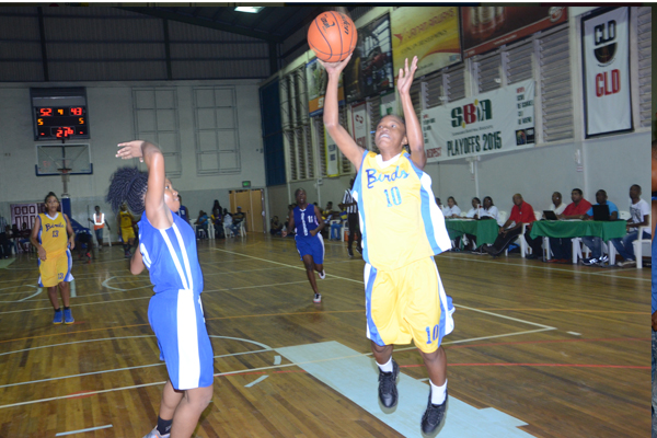 Read more about the article Dames basketbal finale:  De Arend vs Yellow Birds naar climax