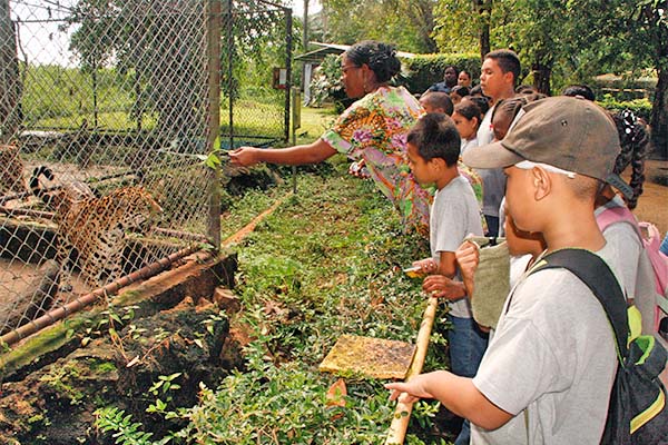 Read more about the article Paramaribo Zoo transformeert om meer bezoekers te trekken