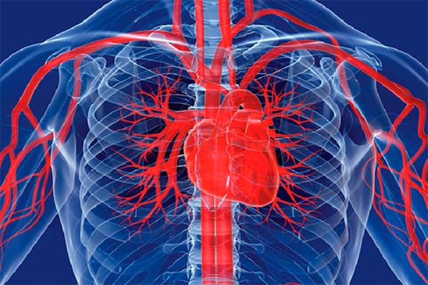 Read more about the article Suriname ondersteunt resolutie Internationale Dag van Interventionele Cardiologie