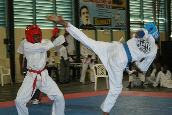 Read more about the article Karatedelegatie naar internationaal toernooi