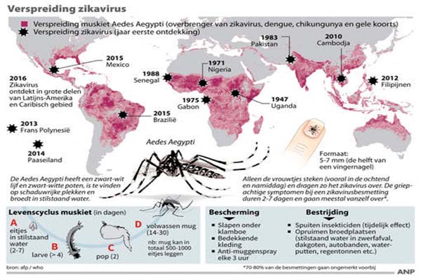 Read more about the article Nederlandse Zika-patiënt in Suriname overleden