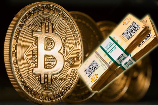 Read more about the article Bitcoin zakt 54% in 6 maanden en andere crypto’s dalen ook