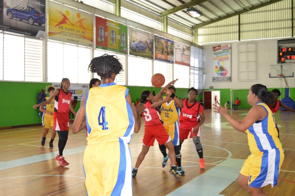 Read more about the article Dames basketbalplay-offs van start