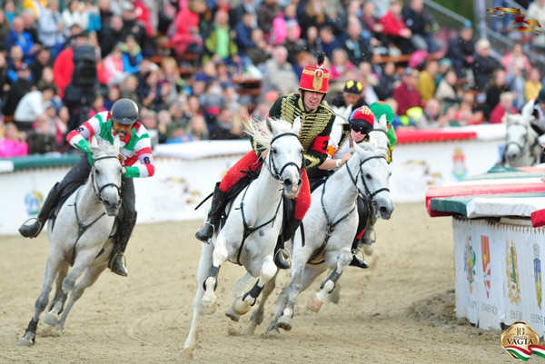 Read more about the article Suriname neemt wederom deel aan  internationale paardenrace in Hongarije