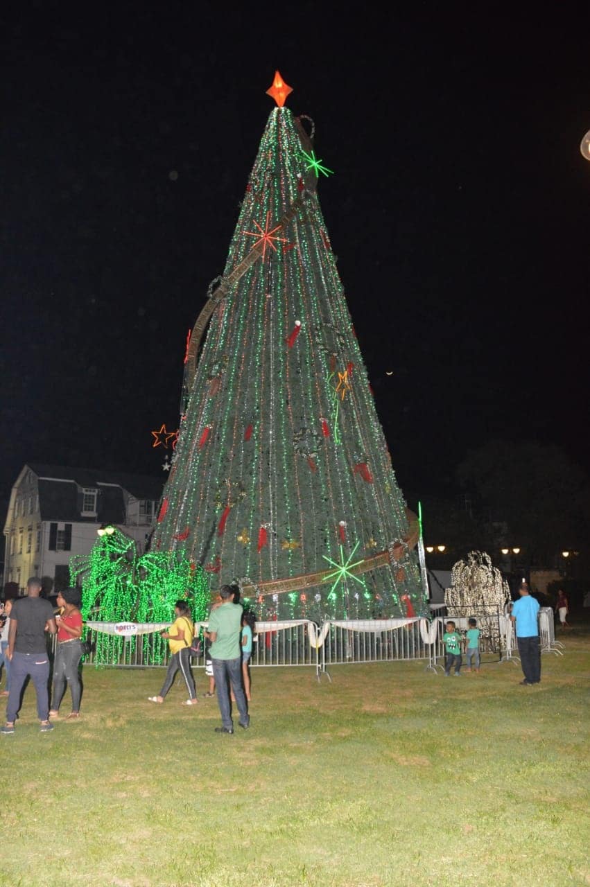Read more about the article Kerstboom op het plein brengt vrede en liefde’