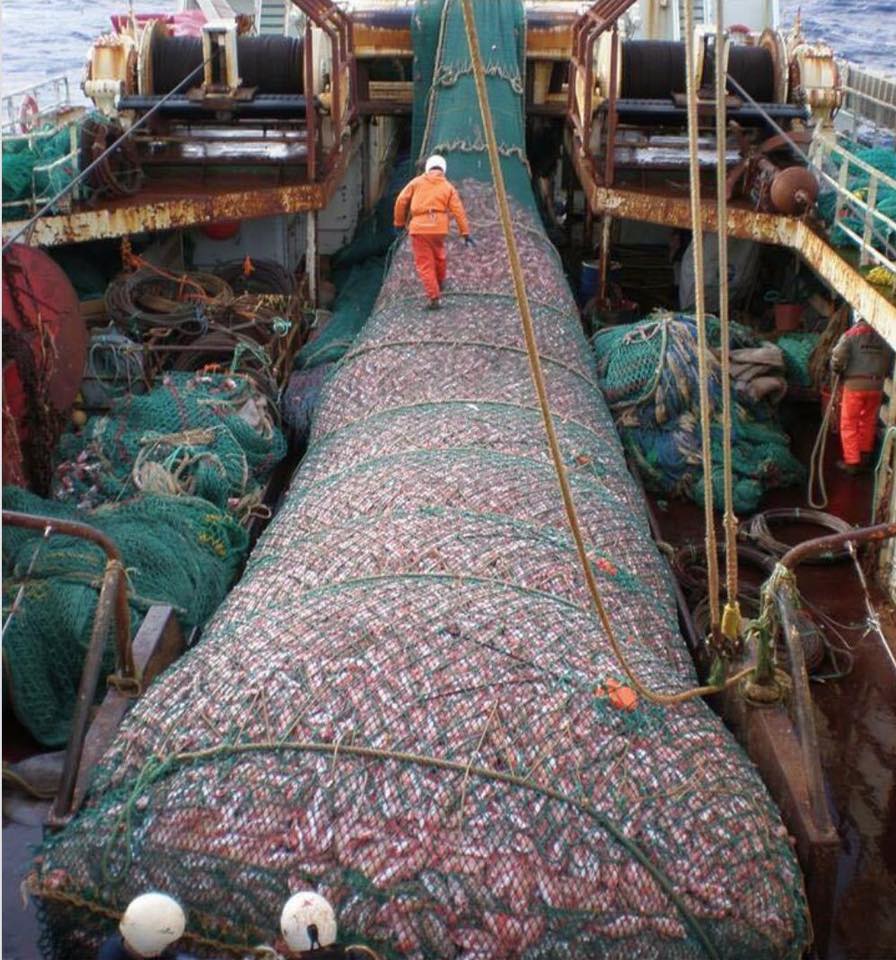Read more about the article CHINESE HEKTRAWLERS DILLEMA