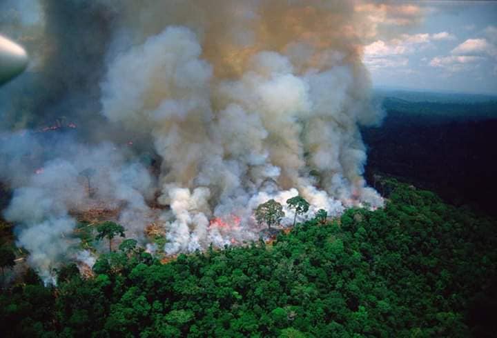 Read more about the article ‘Suriname moet voorhoederol nemen bij Amazone-branden’