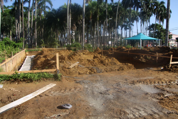 Read more about the article ‘Regering moet bouwactiviteiten Palmentuin Waka Pasi stoppen’