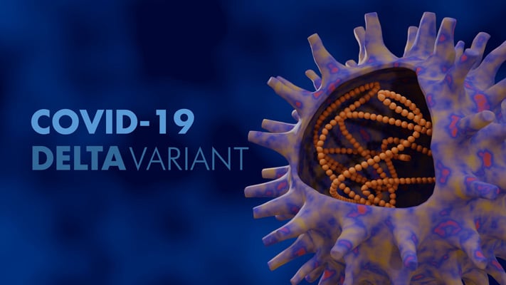 Read more about the article Nieuwe variant van coronavirus in Nederland, Duitsland en Marokko