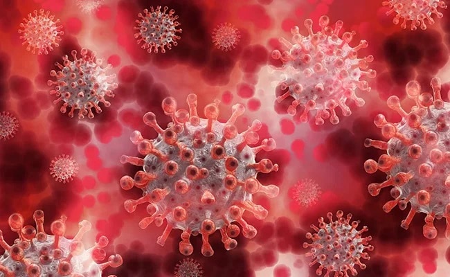Read more about the article Reeds bestaande virussen komen agressiever terug na versoepeling covid-beperkingen