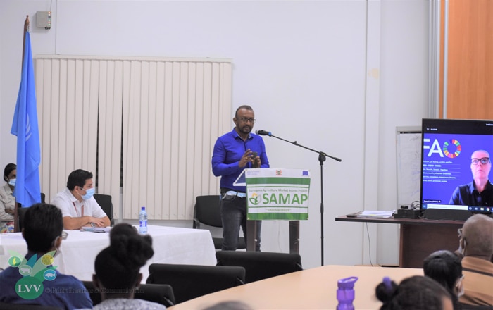 Read more about the article FAO/SAMAP houdt tweede platformbijeenkomst voor cassavesector