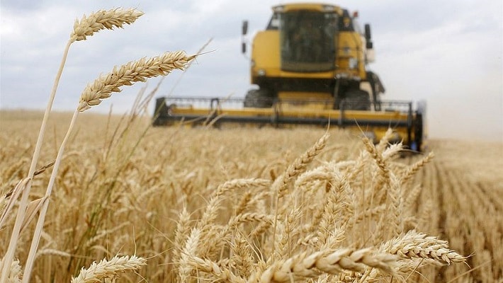 Read more about the article Rusland steelt Oekraïens graan en verkoopt het