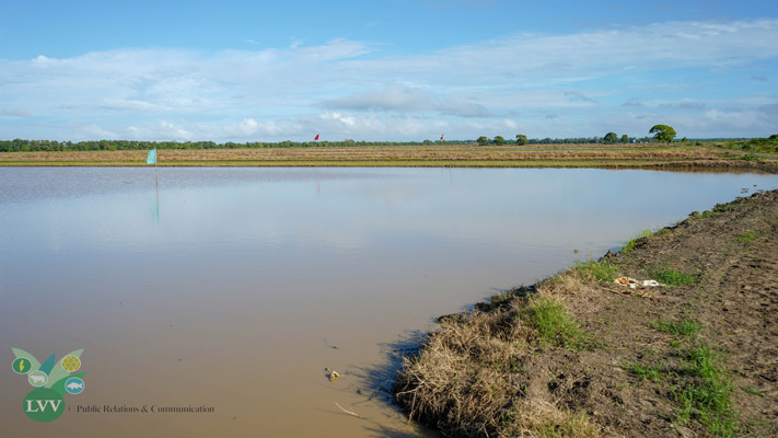 Read more about the article Tekort aan irrigatiewater enorme zorg voor Rijstboeren