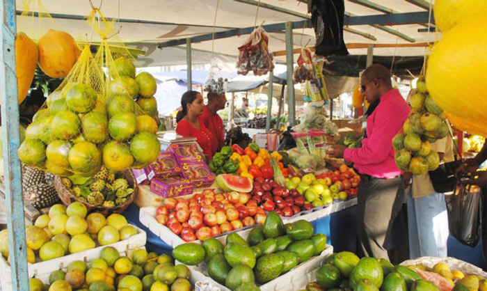 Read more about the article ‘Geen invoerverbod op Surinaamse producten, wel waakzaam op plagen of ziekten’