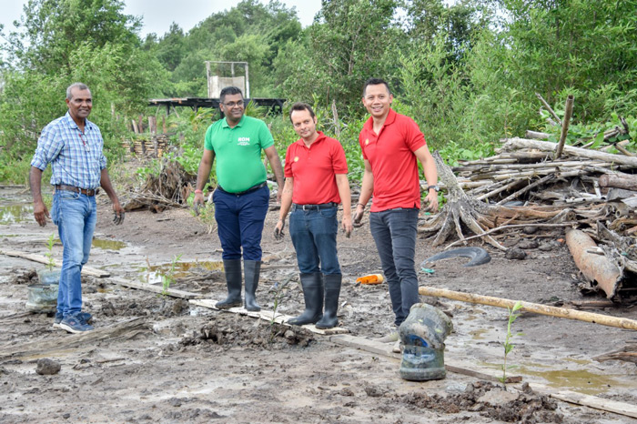 Read more about the article Shell draagt USD 50.000 bij aan Mangrove rehabilitatie- en bewustwordingsproject