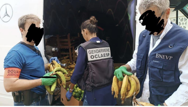 Read more about the article Frans-Guyana neemt 1.150 kilo groenten en fruit uit Suriname in beslag