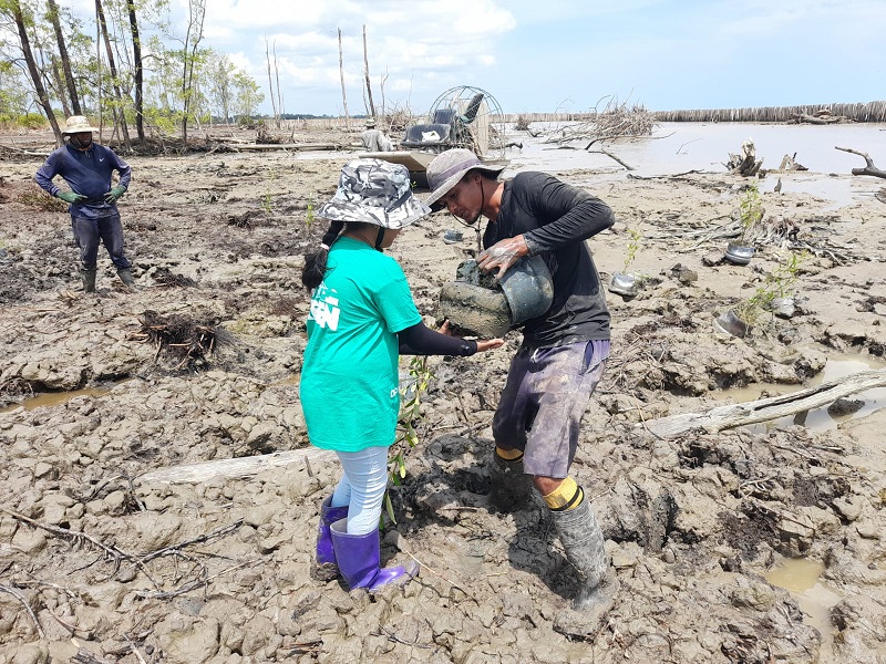 Read more about the article DP World Paramaribo en COSCO Shipping Lines Suriname werken samen aan Mangrove Rehabilitatie Project