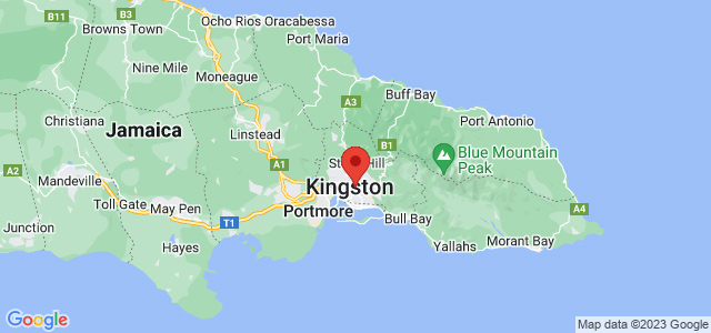 Read more about the article Aardbeving met een kracht van 5,7 treft nabij New Kingston, Jamaica