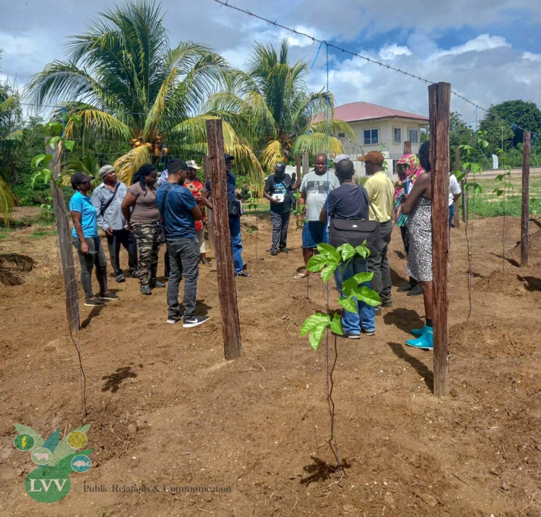 Agro-ondernemers-TRAINING-MARKOESATEELT