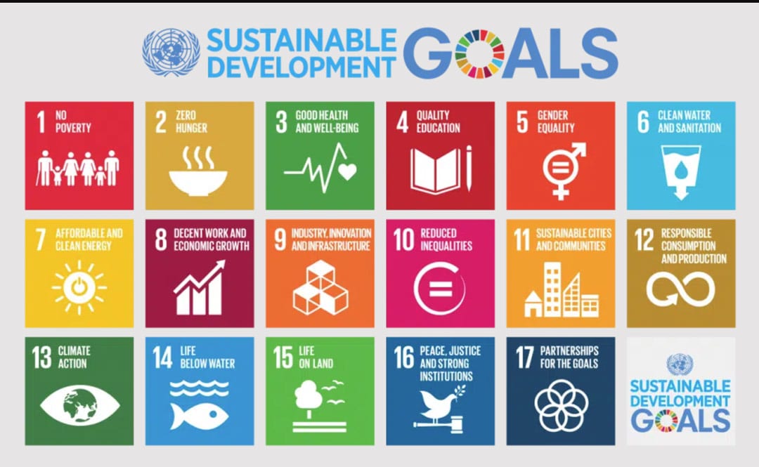 Read more about the article SDG Platform: ‘SDGs nog niet bij alle ministeries doorgedrongen’