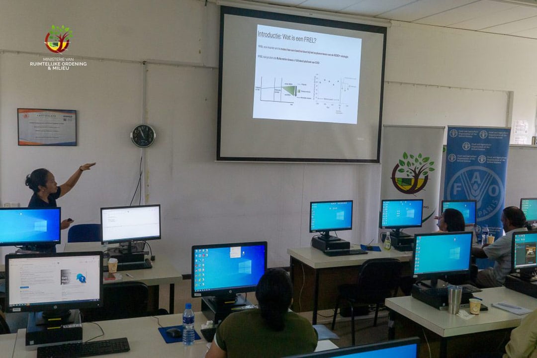 Read more about the article Suriname versterkt capaciteit voor bosmonitoring en klimaatrapportage