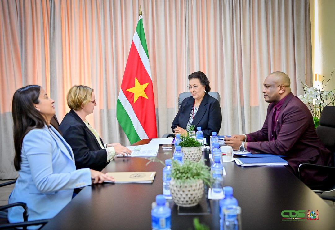 Read more about the article VN-functionaris Joanna Kazana voert gesprek met president Simons