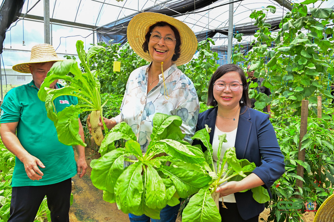 Read more about the article President Simons: ‘Landbouw moet versneld ontwikkeld worden’