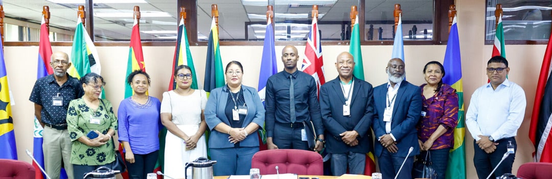 Read more about the article CARICOM prijst vreedzaam verloop verkiezingen in Guyana