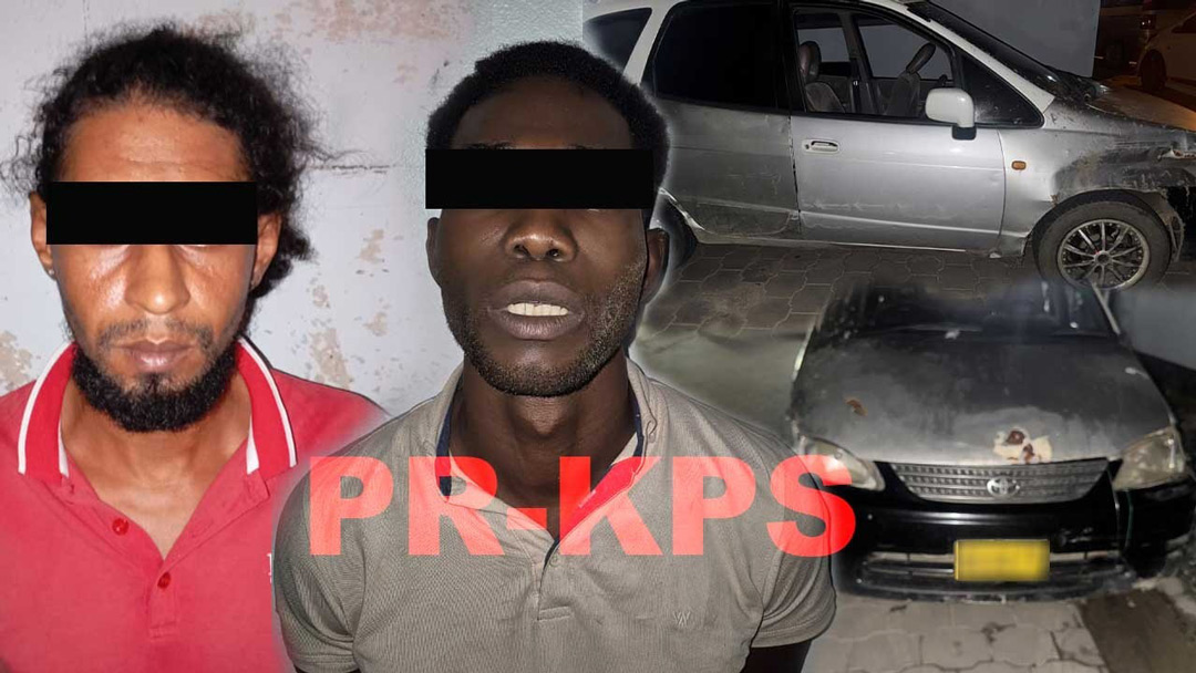 Read more about the article Twee diefstalverdachten aangehouden