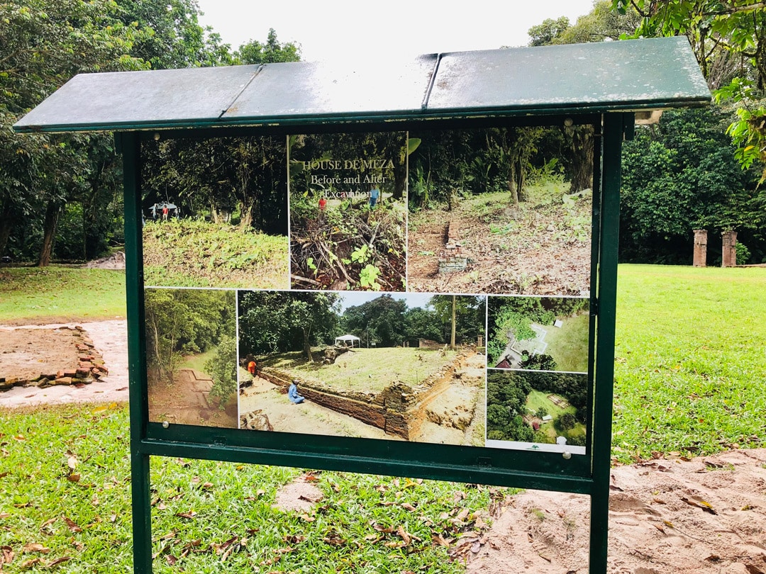 Read more about the article Wijngaarde: ‘Laat Jodensavanne dienen als een openluchtklaslokaal’