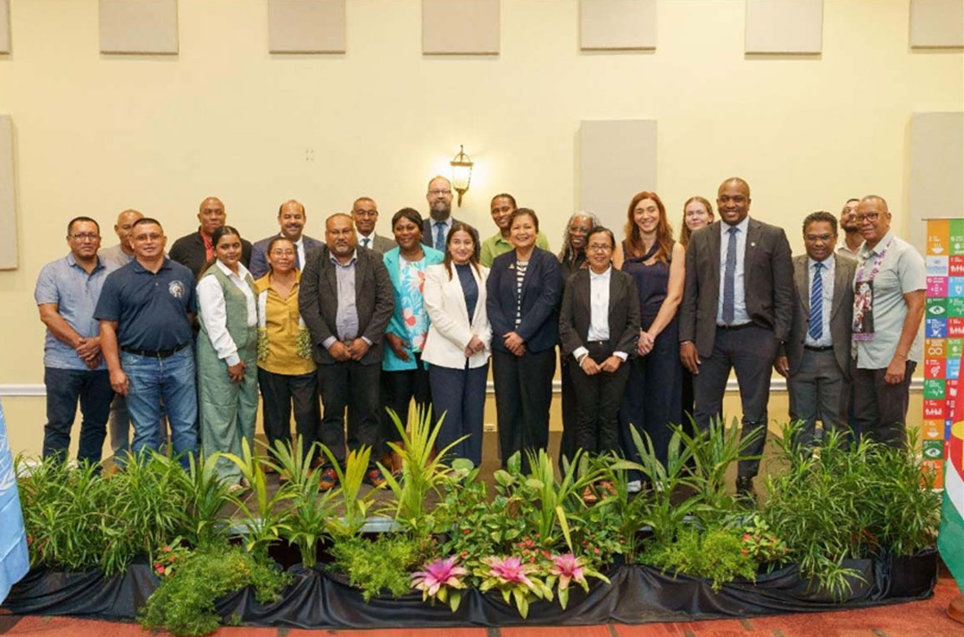 Read more about the article Suriname lanceert Collateral Support Facility ter versterking van ananasboeren