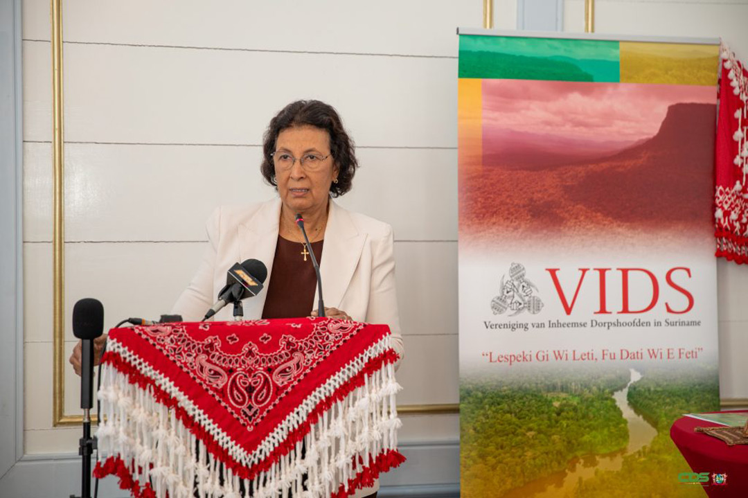 Read more about the article VIDS overhandigt nationaal FPIC-protocol aan president en parlementsvoorzitter