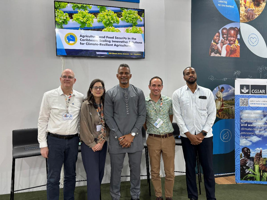 Read more about the article Klimaatcrisis treft Caribische landbouw steeds harder