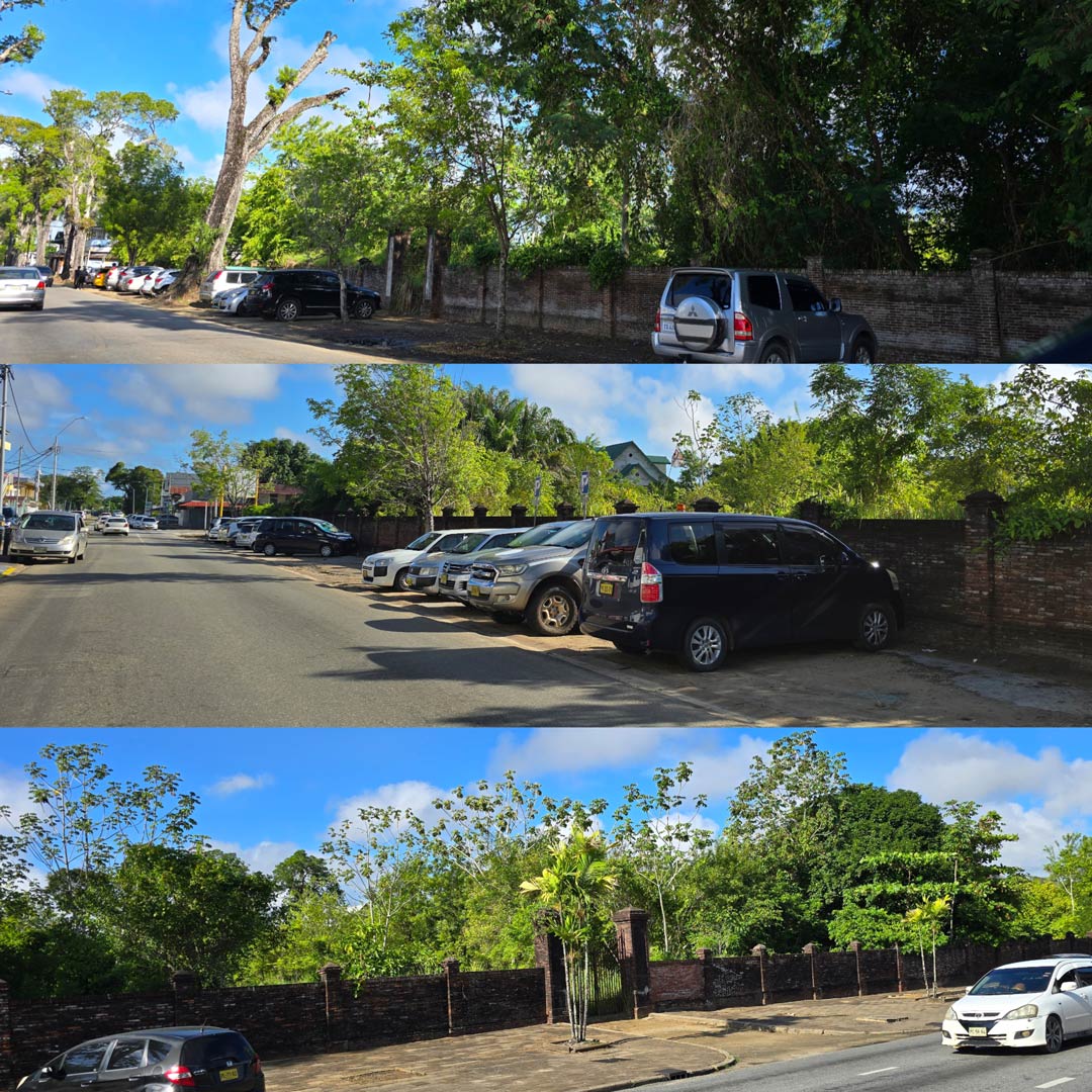 Read more about the article ORANJEBOS: CULTUREEL BARBARISME TEN TOP