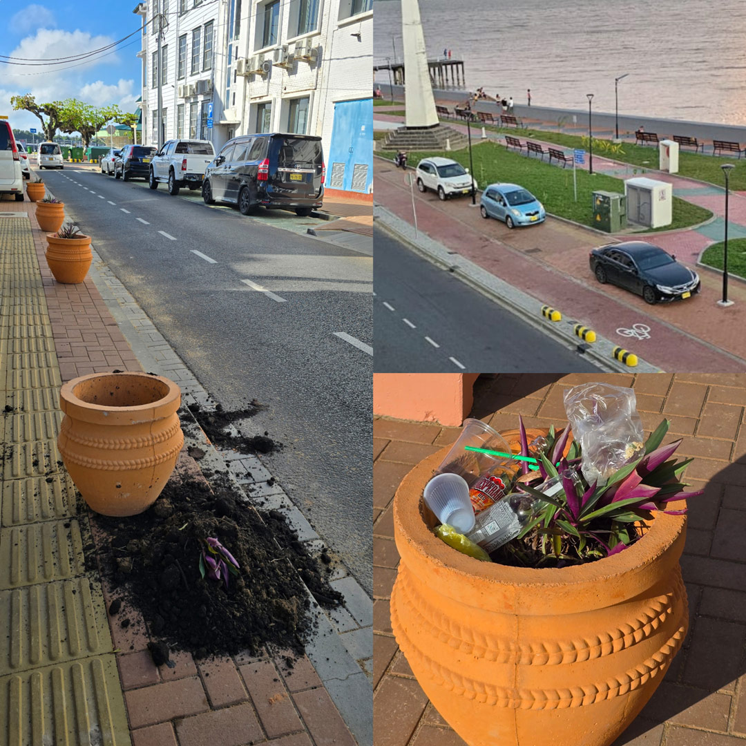 Read more about the article ONHEBBELIJK EN ONGEGENEERD