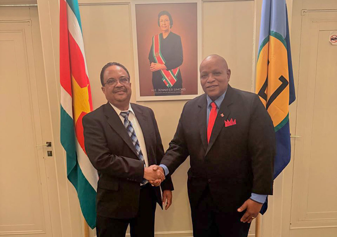 Read more about the article VP Rusland brengt kennismakingsbezoek aan ambassadeur Panka