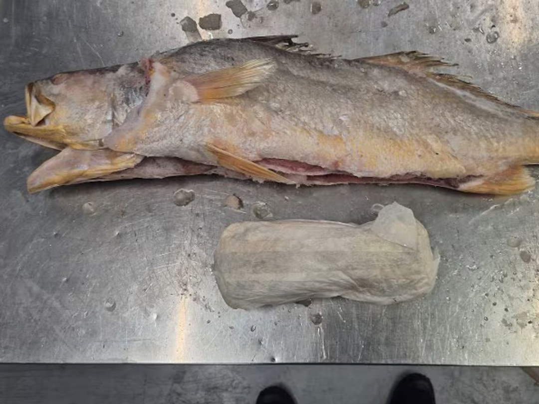 Read more about the article Honderden kilo’s cocaïne ontdekt in viszending uit Suriname