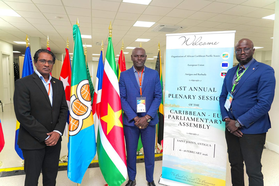 Read more about the article ‘Suriname moet structureel worden ondersteund voor koolstofdiensten’