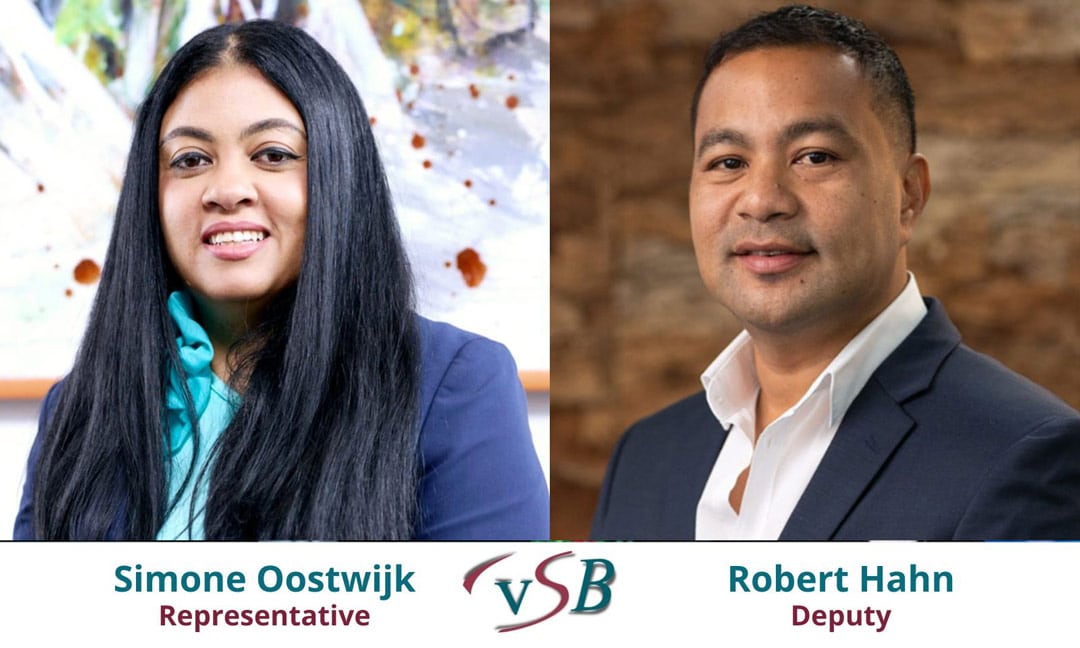 Read more about the article Sector Verzekering benoemt Oostwijk en Hahn als nieuwe vertegenwoordigers