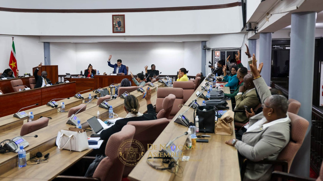 Read more about the article VERDEELDE PARTIJEN IN EEN VERDEELDE COALITIE